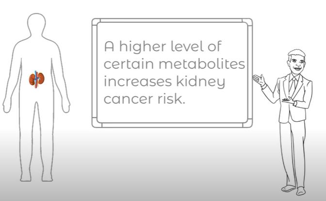 A higher level of certain metabolites increases kidney cancer risk