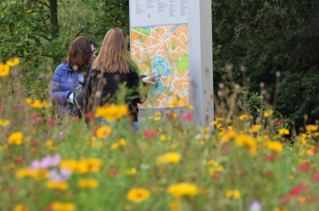 Two students looking at a University of Bristol map and signpost, with a wild flower meadow in the foreground.