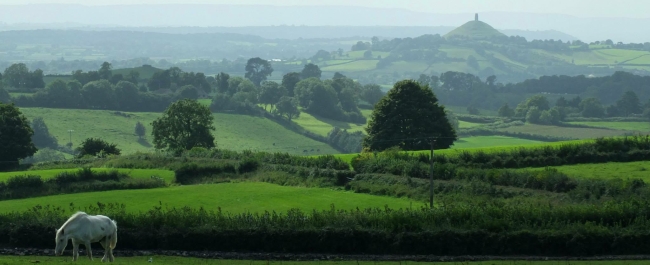 A panorama of the Somerset Levels, with Glastonbury Tor in the background.