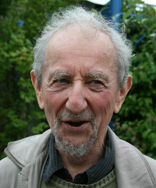 Image of Harvey Goldstein