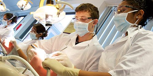 Dental students in clinical skills laboratory