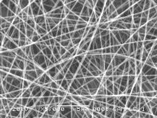 Nanofibres under a microscope