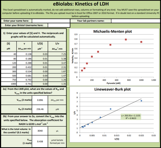 An example of a post-lab assignment titled 'Kinetics of LDH'.