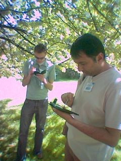 Data collecting under a tree