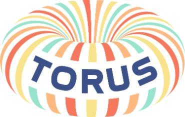 TORUS project logo in colour