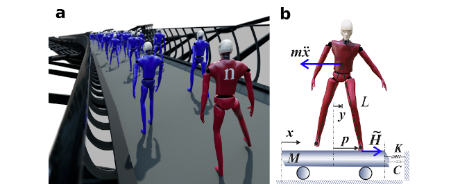 Model of pedestrians walking on the Millennium Bridge