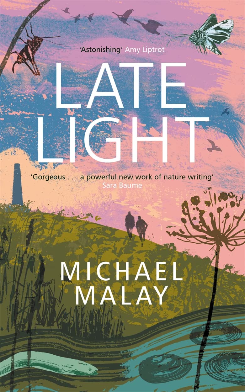 The cover of Michael Malay's book Late Light, depicting a sunset on Trooper's Hill, Bristol.