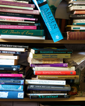 stack of books on two shelves