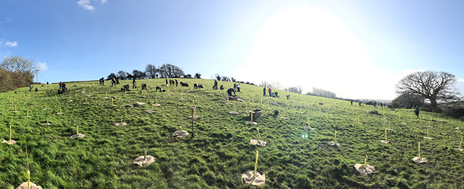 A large open green space on a slight hill. The sky is blue with a bright shining sun. There are a group of people in the distance, some of which are bending down, some are stood up