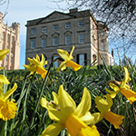 A large old building at the top of a hill with grass and daffodils in front of it