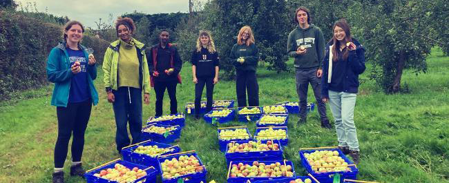7 people stood outside on a green lawn with trees behind them. On the ground in the middle of them are plastic boxes, all filled with apples. The people are smiling at the camera.