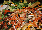 Food waste. Peering into a dumpster at the Market