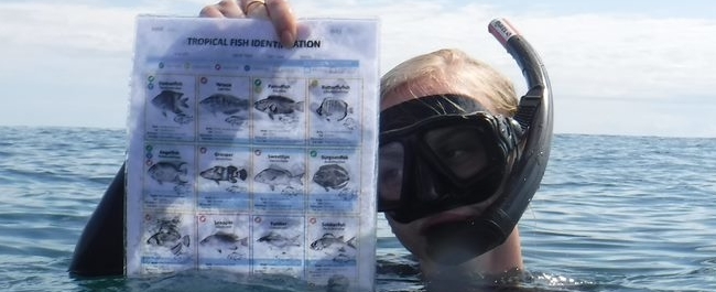 A student is snorkelling with an information sheet about different fish.