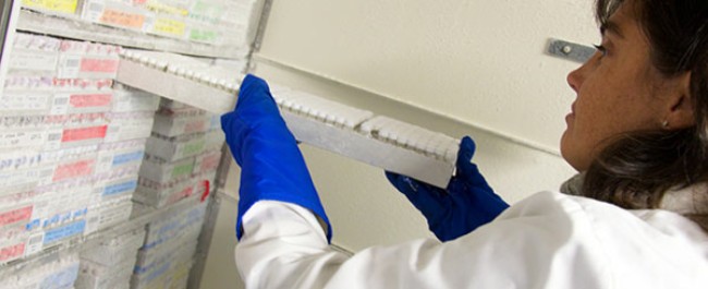 A woman in a white lab coat and protective blue rubber gloves handles a tray of items from a stack on a shelf.