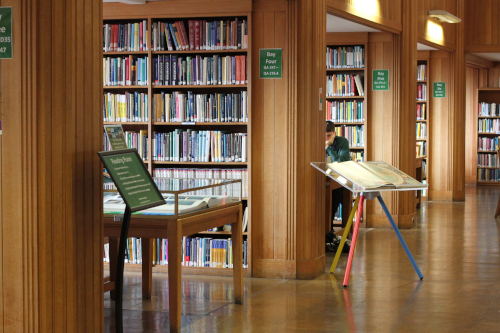 Ground floor of the Queen's library showing four receding bookcases, between two bookcases a student is studying at a table. 
