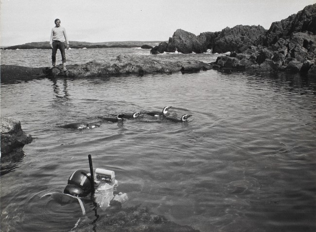 A diver filming penguins