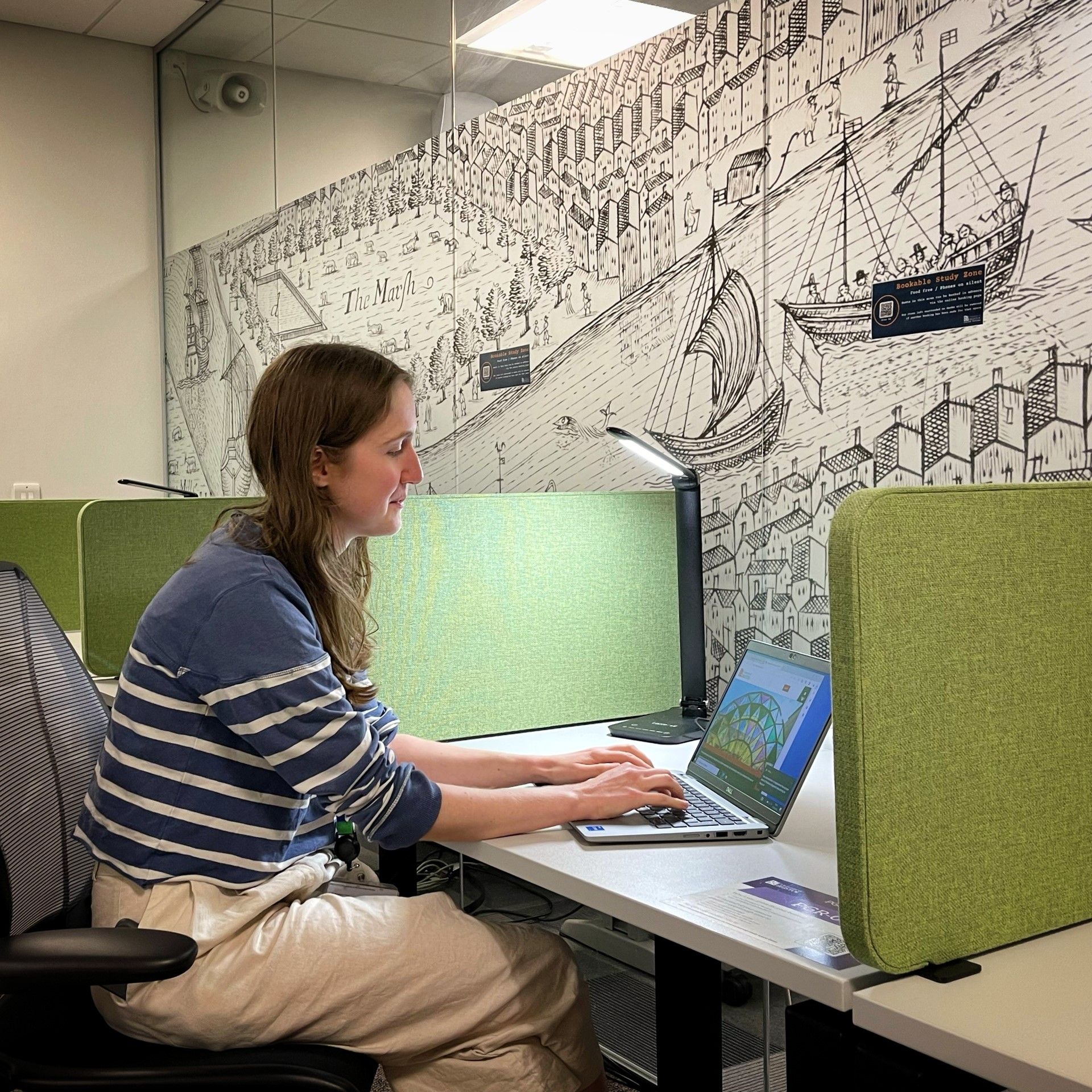 A student sits using their laptop at one of the height adjustable single desks in the PGR room