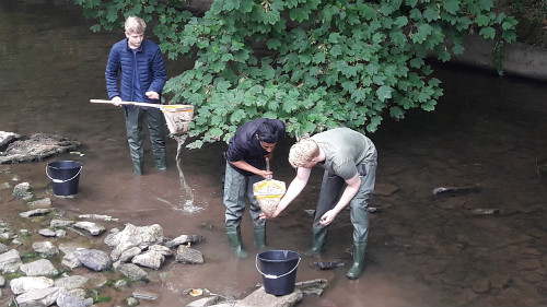 Students in river on Biological Sciences work experience