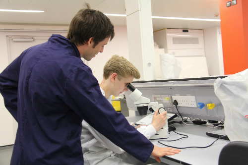 Student using microscope