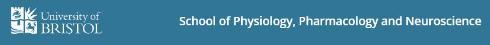 Logo for the School of Physiology, Pharmacology and Neuroscience, University of Bristol