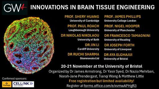 Innovations in Brain Tissue Engineering poster