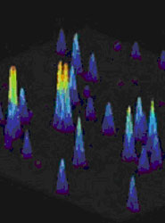 3D image showing peaks in fluorescence intensity, each peak being the assembly of nucleoprotein complexes onto a single DNA molecule.