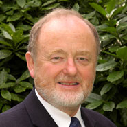 Professor David Clarke