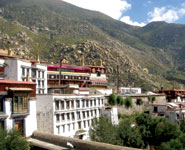The Drepung Monastery