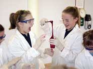 Students from d'Auvergne School create sticky slime during Jersey Science Week