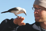 Dr Andy Radford with a pied babbler