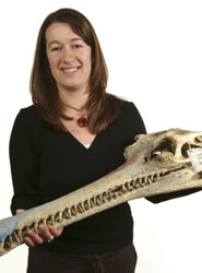 Emily Rayfield holding a gharial (crocodile) skull