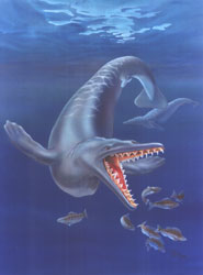 Life restoration of the ancient whale Dorudon atrox that lived about 40 million years ago.