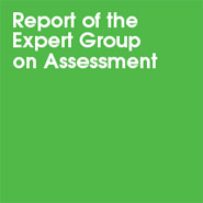 Department for Children, Schools and Families (DCSF) Expert Group Report