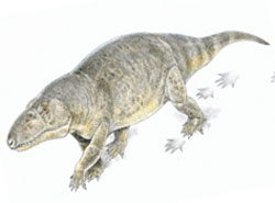 Erythrosuchus lived after the end-Permian mass extinction.