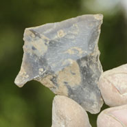 A chisel-shaped arrowhead