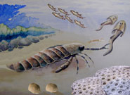 Reconstructon of a eurypterid chasing early armoured fish.