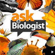 Ask a Biologist website