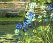 A painting of agapanthus by Di Western