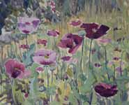 A painting of poppies by Susan Bracher