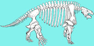 The pareiasaur parareptile Scutosaurus