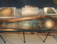 Psamtek, the only human mummy on public display in the county, in his coffin at Torquay Museum