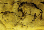 A cave painting of what appears to be bison struck with projectile weapons located at Grotte de Niaux, France