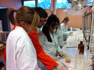 Students experience practical work as part of the ChemLabS outreach programme