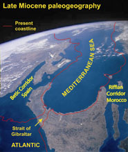 Reconstruction of the Mediterranean and Atlantic shoreline ~8 million years ago, when there were two marine connections and the Straits of Gibraltar had not yet formed (modified after Duggen et al., 2003)