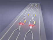 Artist’s impression of the quantum photonic chip, showing the waveguide circuit (in white), and the voltage-controlled phase shifters (metal contacts on the surface). Photon pairs become entangled as they pass through the circuit.