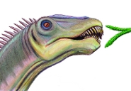 A reconstruction of Diplodocus feeding by artist Dmitry Bogdanov