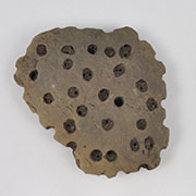 A sieve fragment from a clay pit in north-central Poland which was submitted to lipid residue analyses