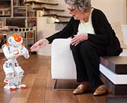 An elderly person with a robot