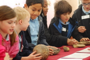 Youngsters get to grips with fossils at last year's festival