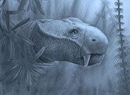 Artist's reconstruction of the head of the anomodont Dicynodon lacerticeps